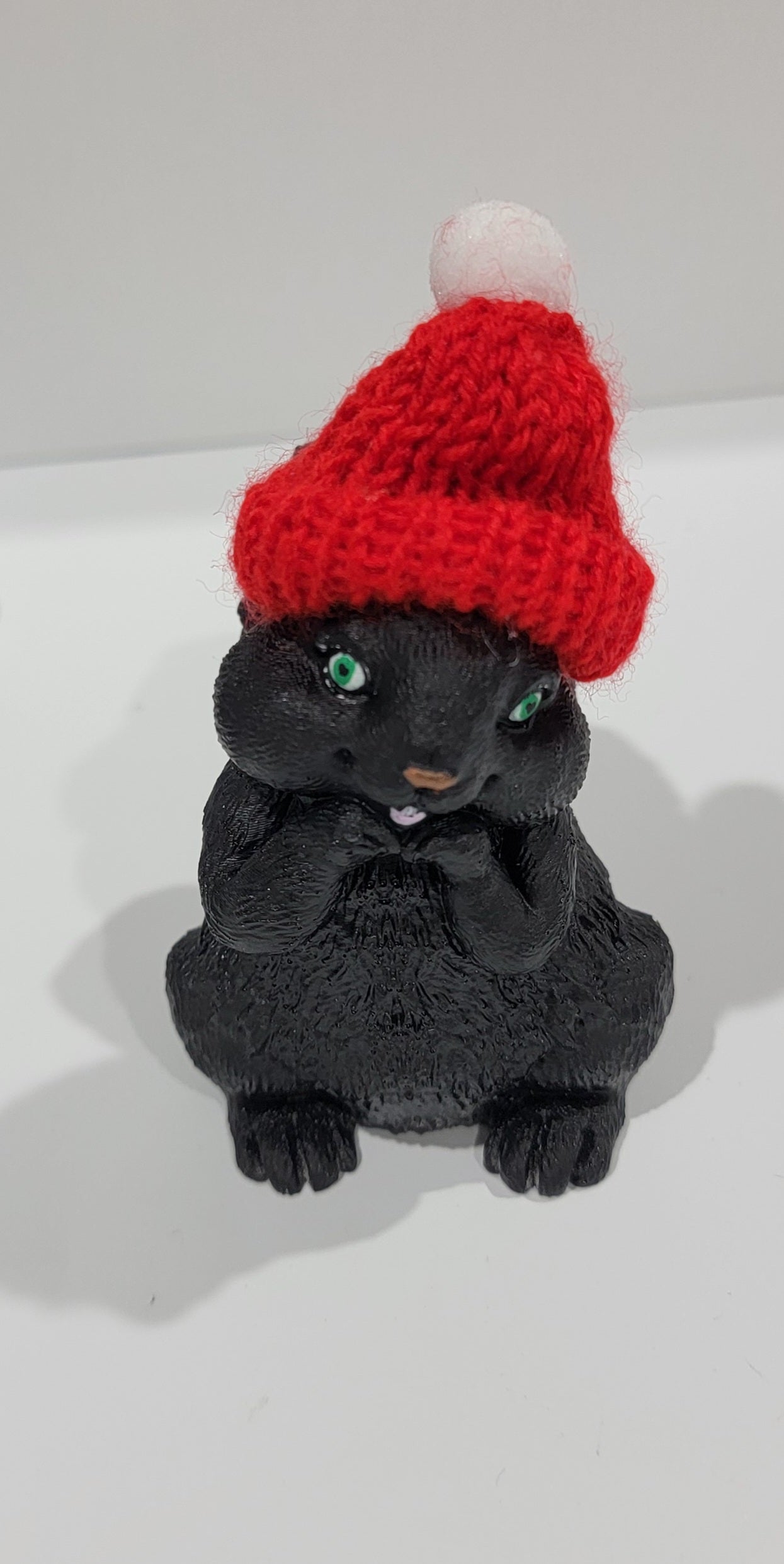 Black Squirrel with Santa Hat