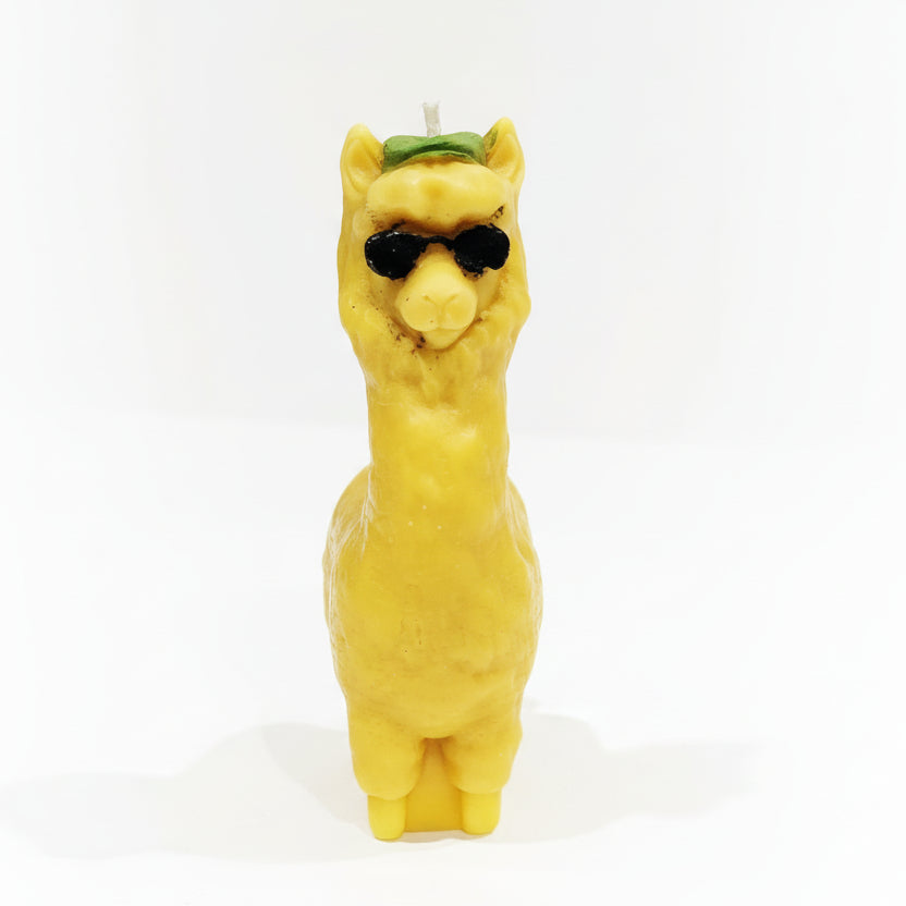 Cool Scented Llama