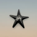 Black Resin Star Figurine – Sleek Decorative Accent