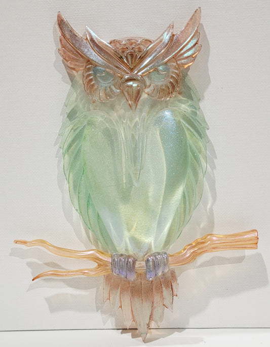 Owl Wall Hanging (Made w/ Clear Resin)
