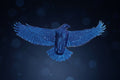 Eagle Wall Hanging