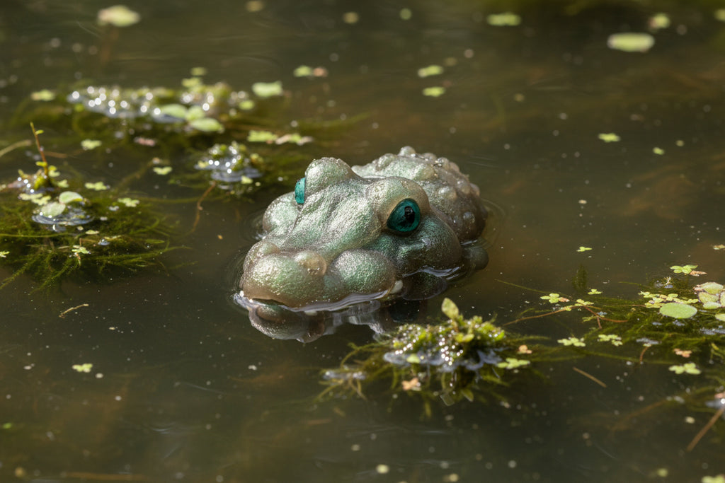 Alligator Figurine