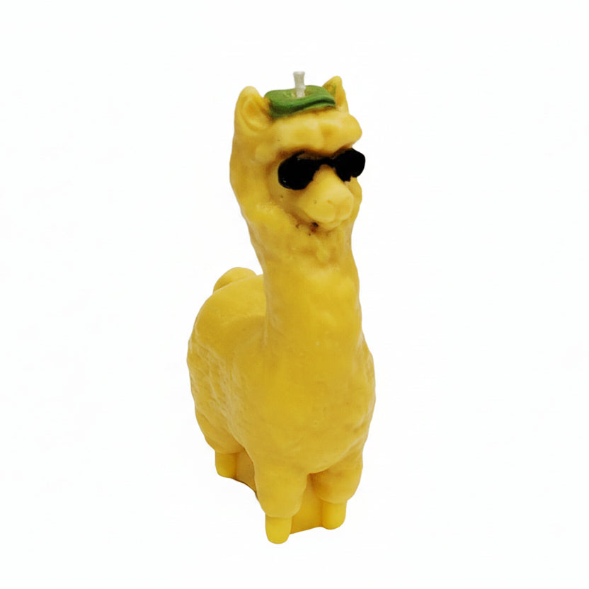 Cool Scented Llama