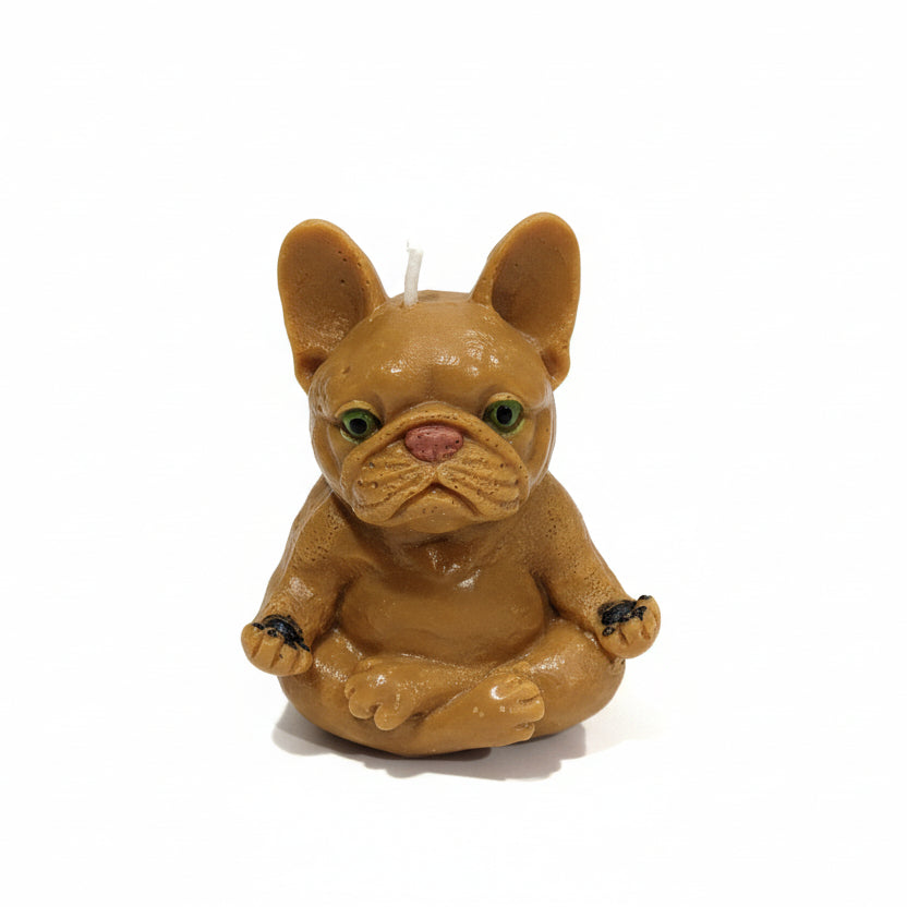 Meditating French Bulldog