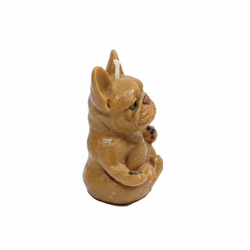 Meditating French Bulldog