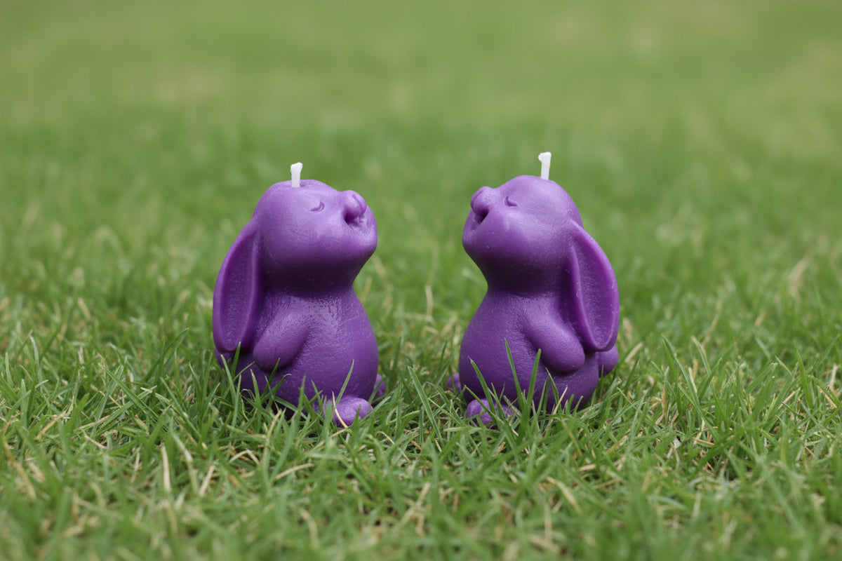 Singing Bunnies(SOLD)