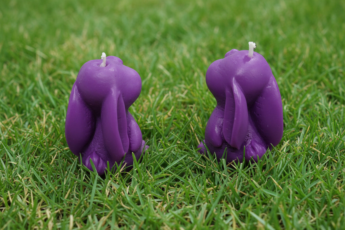 Singing Bunnies(SOLD)