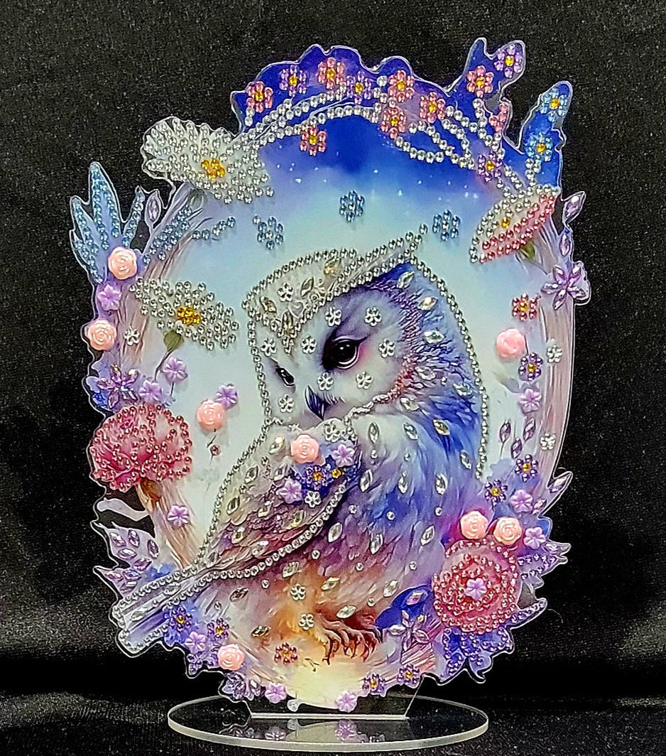 Colorful Owl Diamond Art Keepsake