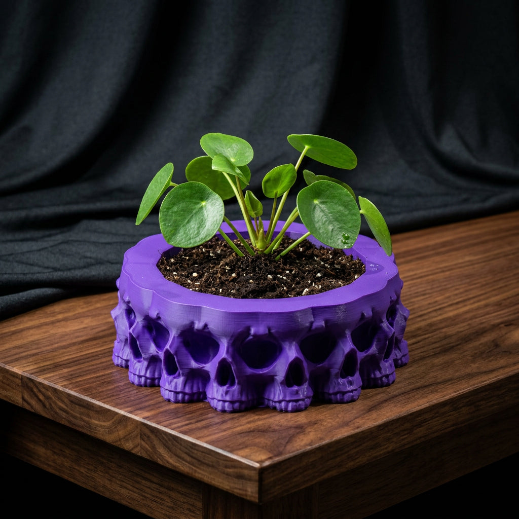 3D Printed Skull Dish/Planter